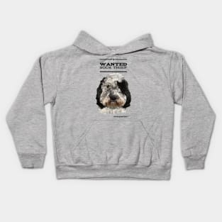 Cockapoo / Doodle Dog Sock Thief Kids Hoodie